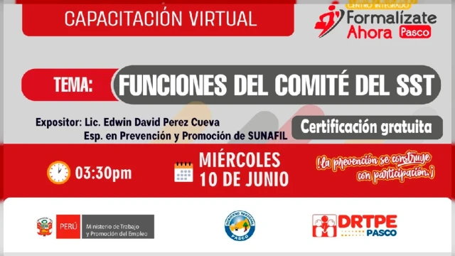 Capacitación virtual - "Funciones del Comité de Seguridad y Salud en el Trabajo" (DRTPE Pasco)