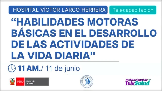  Capacitación online  "Habilidades Motoras Básicas en el Desarrollo de las Actividades de la Vida Diaria" MINSA