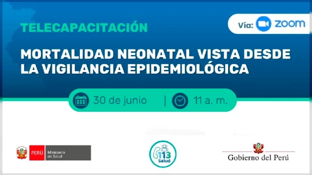  Capacitación online - "Mortalidad Neonatal vista desde la vigilancia epidemiológica" MINSA