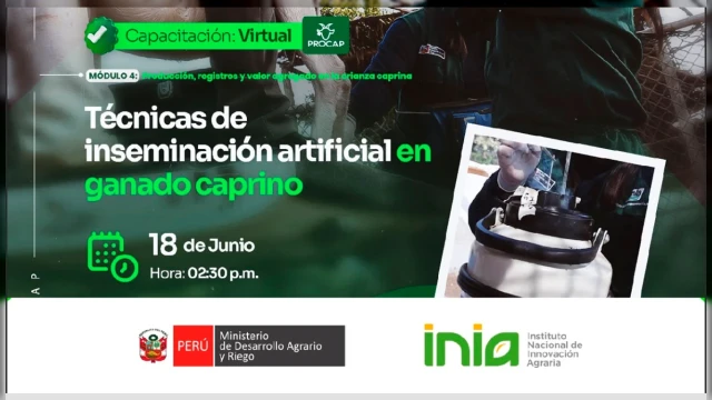  Capacitación virtual - "Técnicas de inseminación artificial en ganado caprino" INIA