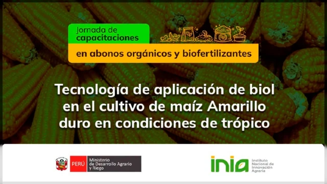  Capacitación virtual Tecnología de aplicación de biol en el cultivo de maíz Amarillo duro en condiciones de trópico