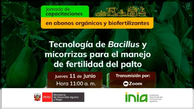  Capacitación virtual - "Tecnología de Bacillus y micorrizas para el manejo de fertilidad del palto" INIA