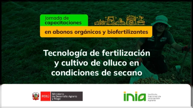 Capacitación virtual - "Tecnología de fertilización y cultivo de olluco en condiciones de secano" INIA