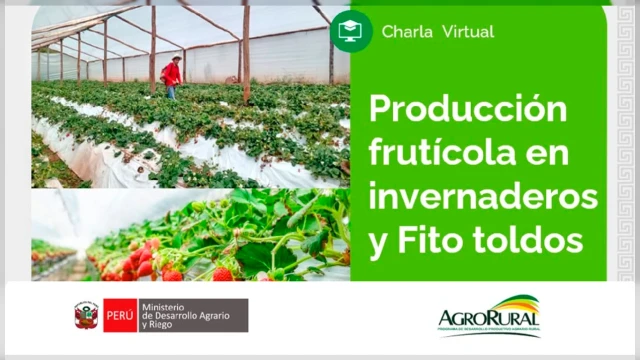 CHARLA