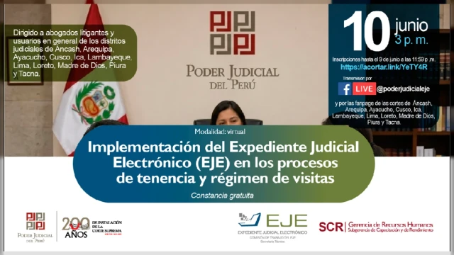  Conferencia Implementación del expediente judicial electrónico (EJE) en los procesos de tenencia y régimen de visitas