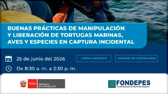  Curso presencial - Buenas prácticas de manipulación y liberación de tortugas marinas, aves y especies