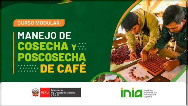  Curso presencial - "Manejo de cosecha y poscosecha de café" Proyecto Yanayacu (INIA)