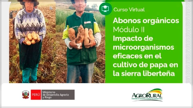 Curso virtual - "Impacto de microorganismos eficaces en el cultivo de papa en la sierra liberteña" Agro Rural