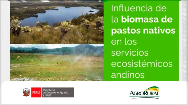 Curso virtual - "Influencia de la biomasa de pastos nativos en los servicios ecosistémicos andinos" Agro Rural