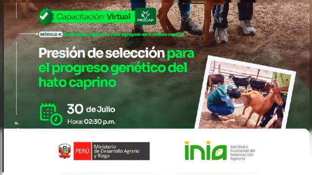 CAPACITACION