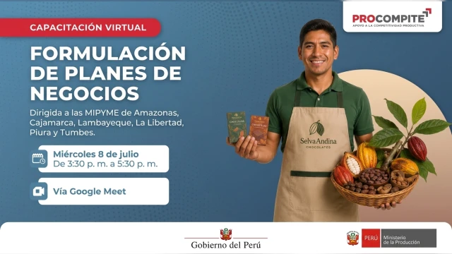 Capacitación virtual - "Formulación de planes de negocios" Ministerio de la Producción del Perú