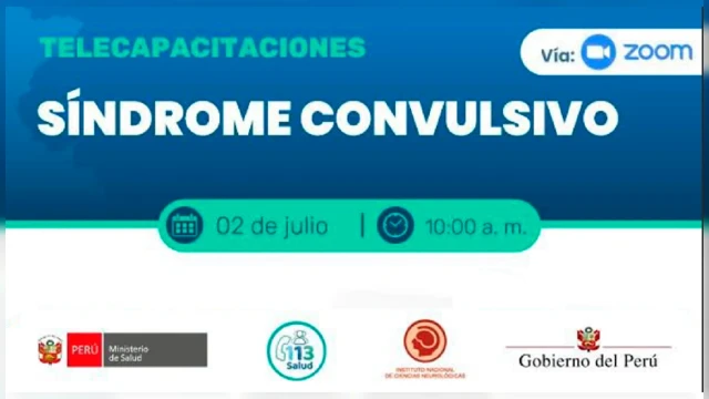 Capacitación VIRTUAL - "SÍNDROME CONVULSIVO" Instituto Nacional de Ciencias Neurológicas