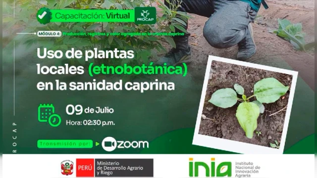 CAPACITACION