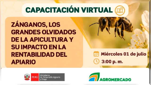CAPACITACION