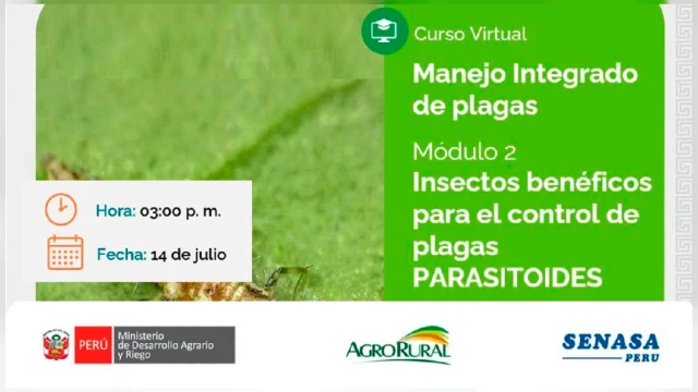 CHARLA
