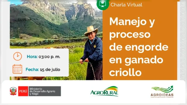 Charla virtual - "Manejo y proceso de engorde de ganado criollo" Agro Rural