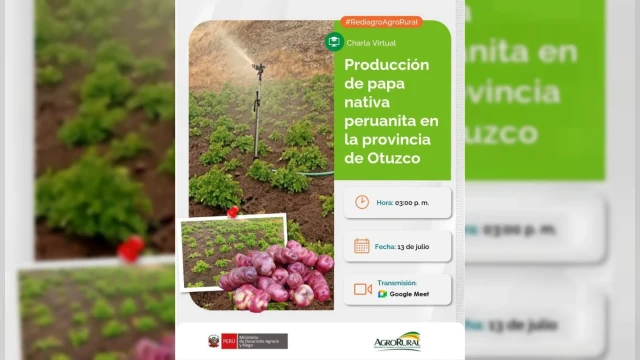 Charla virtual - "Producción de papa nativa peruanita en la provincia de Otuzco" Agro rural