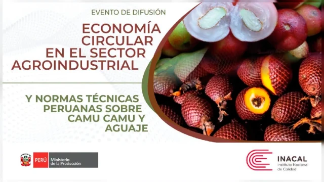 CONFERENCIA