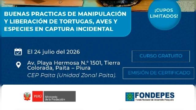 CURSO