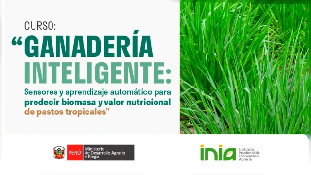 CURSO