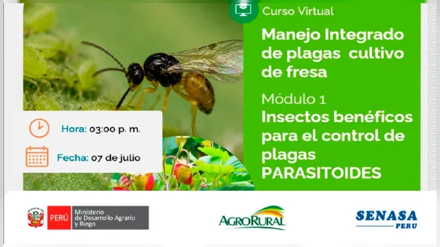 Curso virtual - "Manejo Integrado de plagas cultivo de fresa" Agro Rural