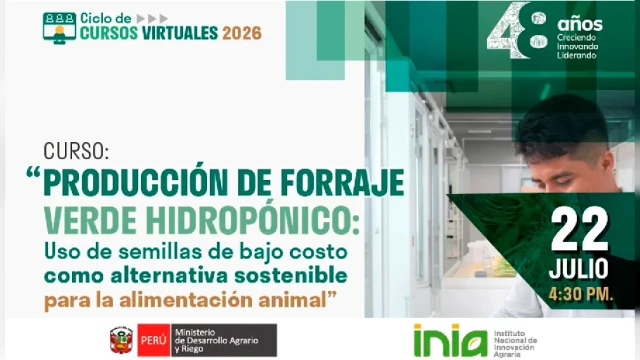 CURSO