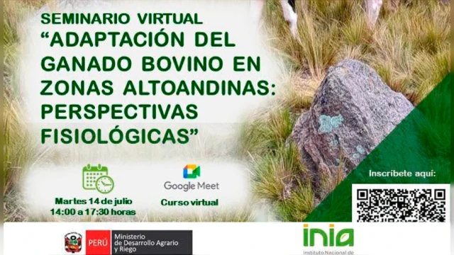 SEMINARIO
