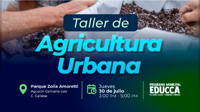 TALLER