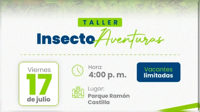 Taller presencial - "Insecto Aventuras" Municipalidad de Miraflores