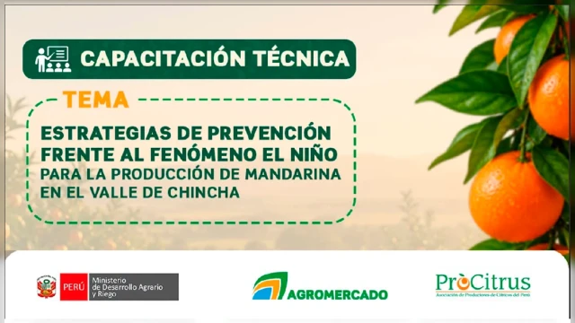 CAPACITACION