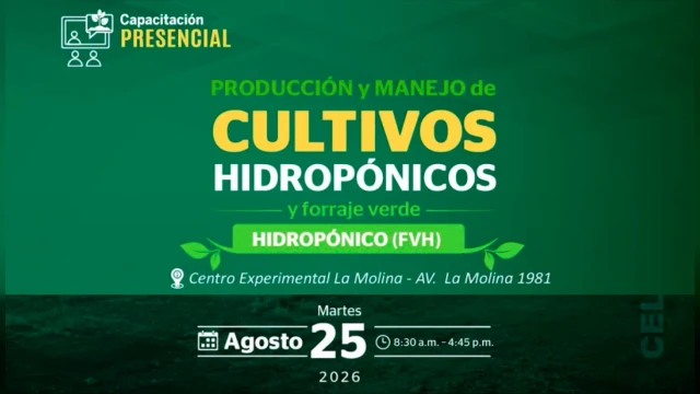 CAPACITACION