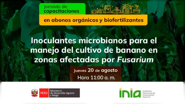 CAPACITACION