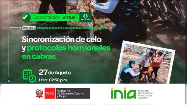 CAPACITACION