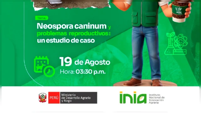 CONFERENCIA