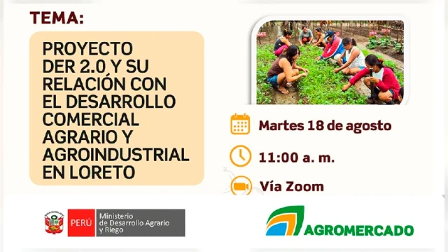 CONFERENCIA