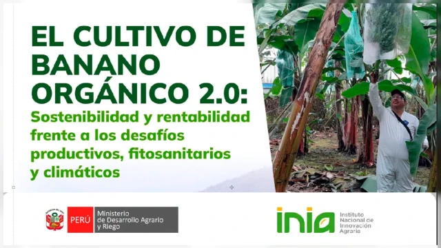 CURSO