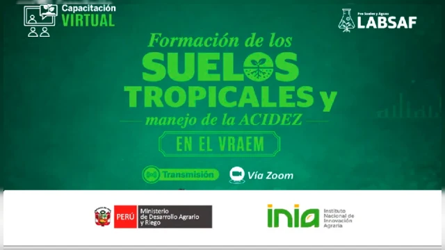 CURSO