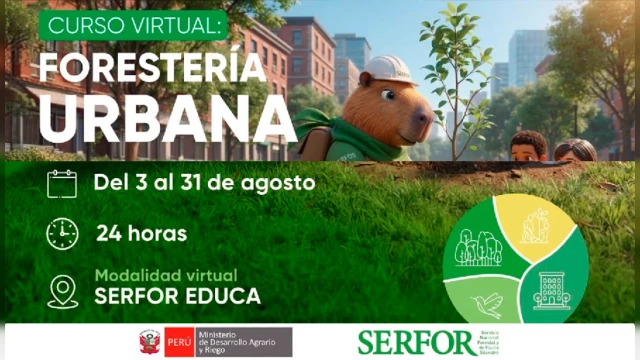 CURSO
