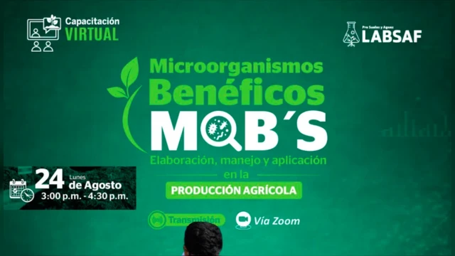CAPACITACION