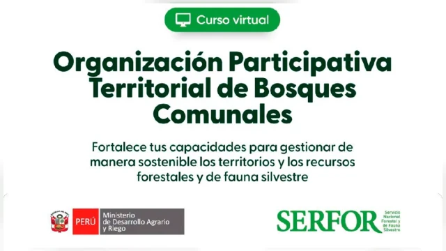 CURSO