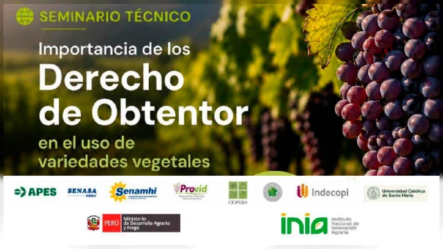 SEMINARIO