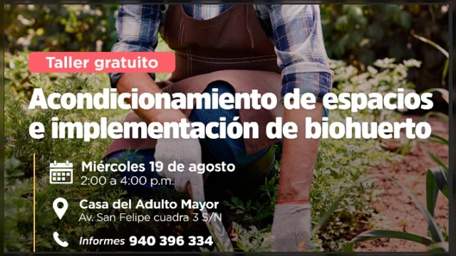 TALLER