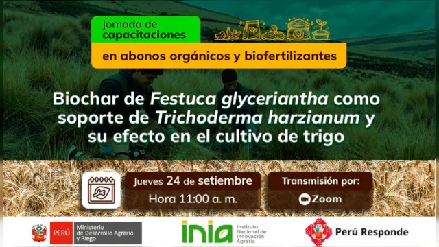 CAPACITACION