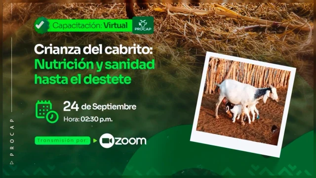 CAPACITACION