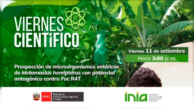 CAPACITACION