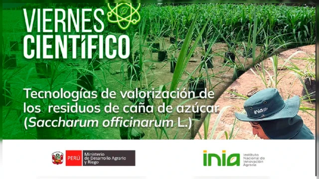 CAPACITACION