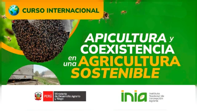 CURSO