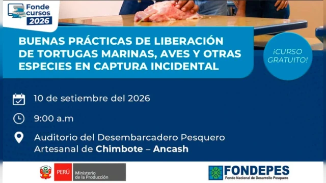 CURSO