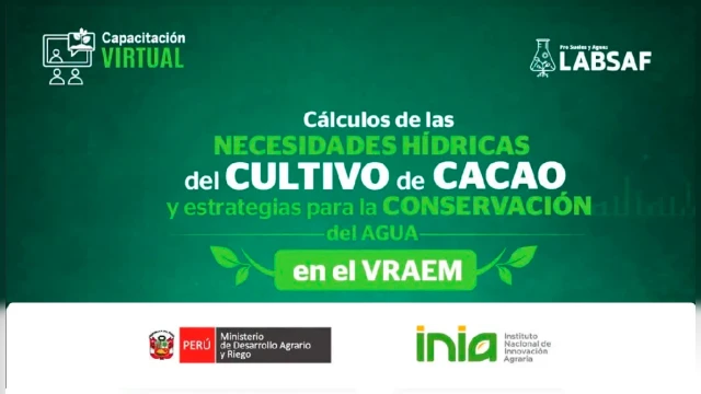 CURSO
