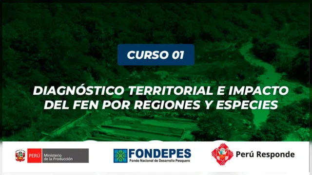 CURSO